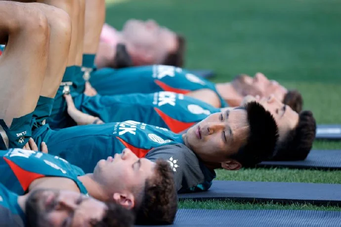 九游游戏-法甲球队年底总结：成绩不断追赶欧洲金字塔的简单介绍