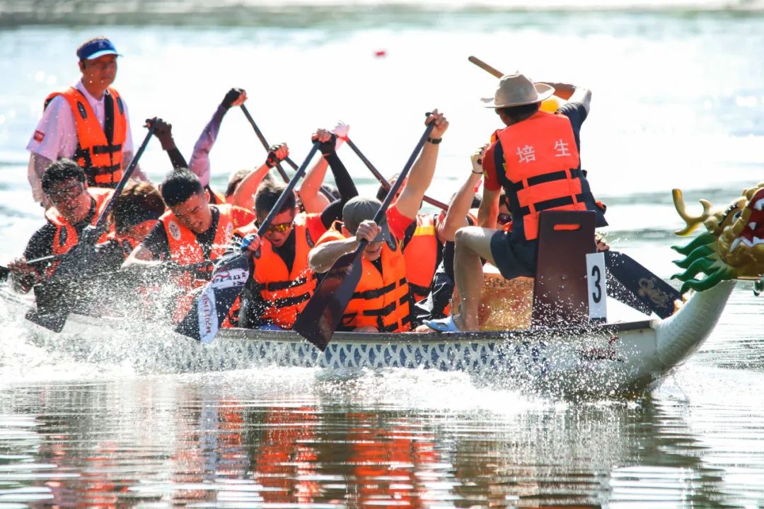 在线视频赛事-包含各国龙舟竞技，体育融入传统文化的词条