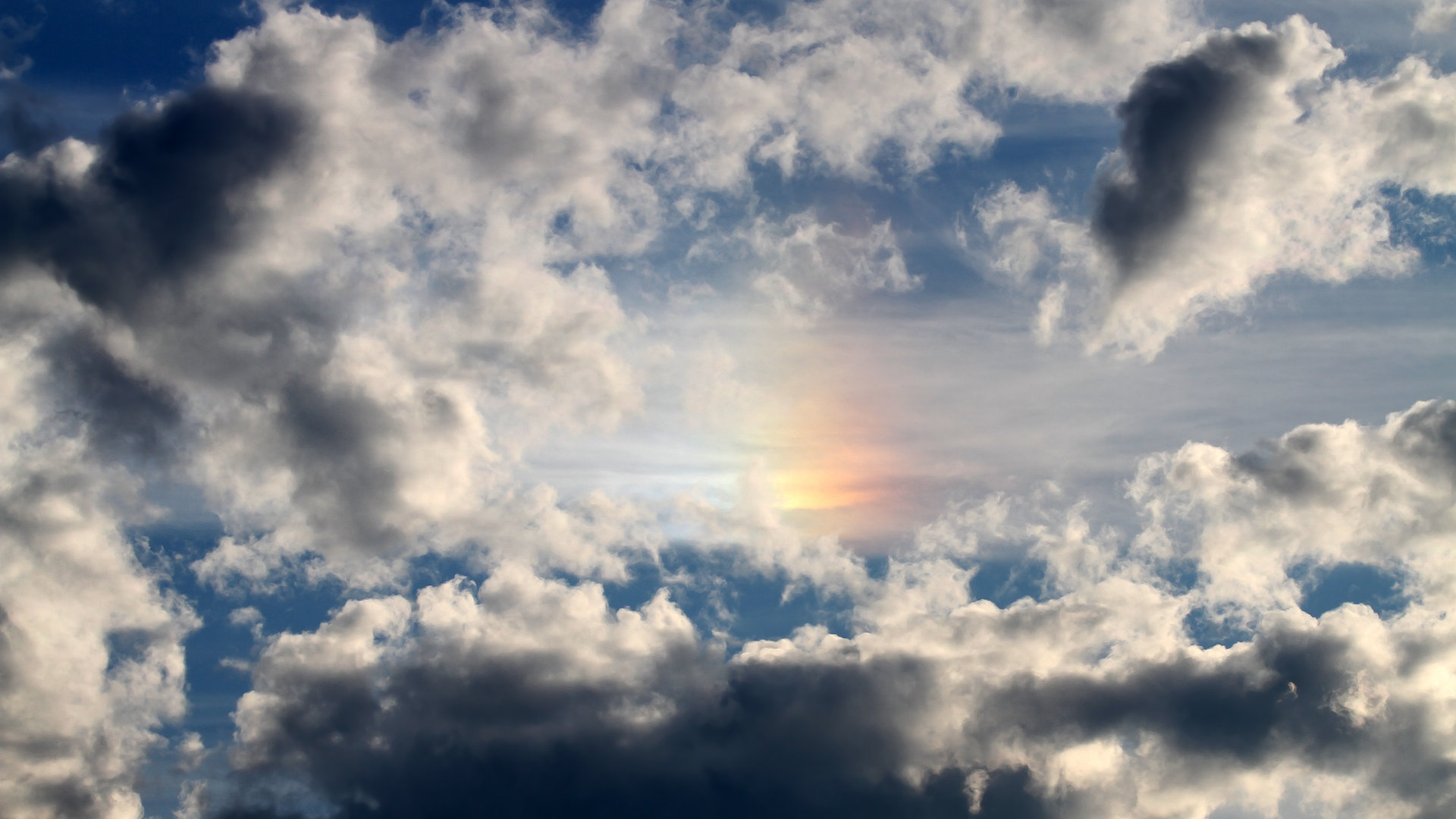 九游体育入口-上海海港主场迎战劲敌，上海海港主力阵容