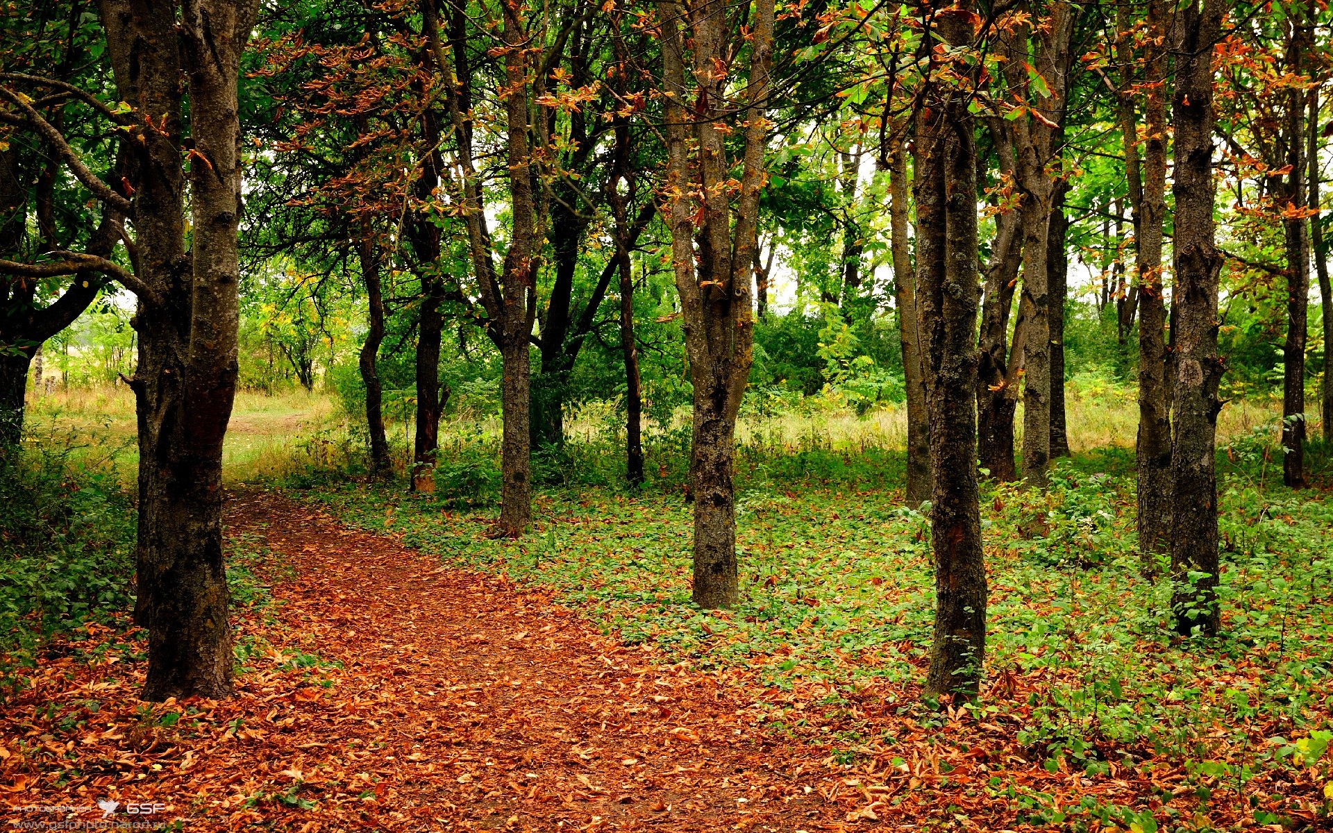 南安普顿客场不败,保级形势渐趋好转,南安普顿是哪里