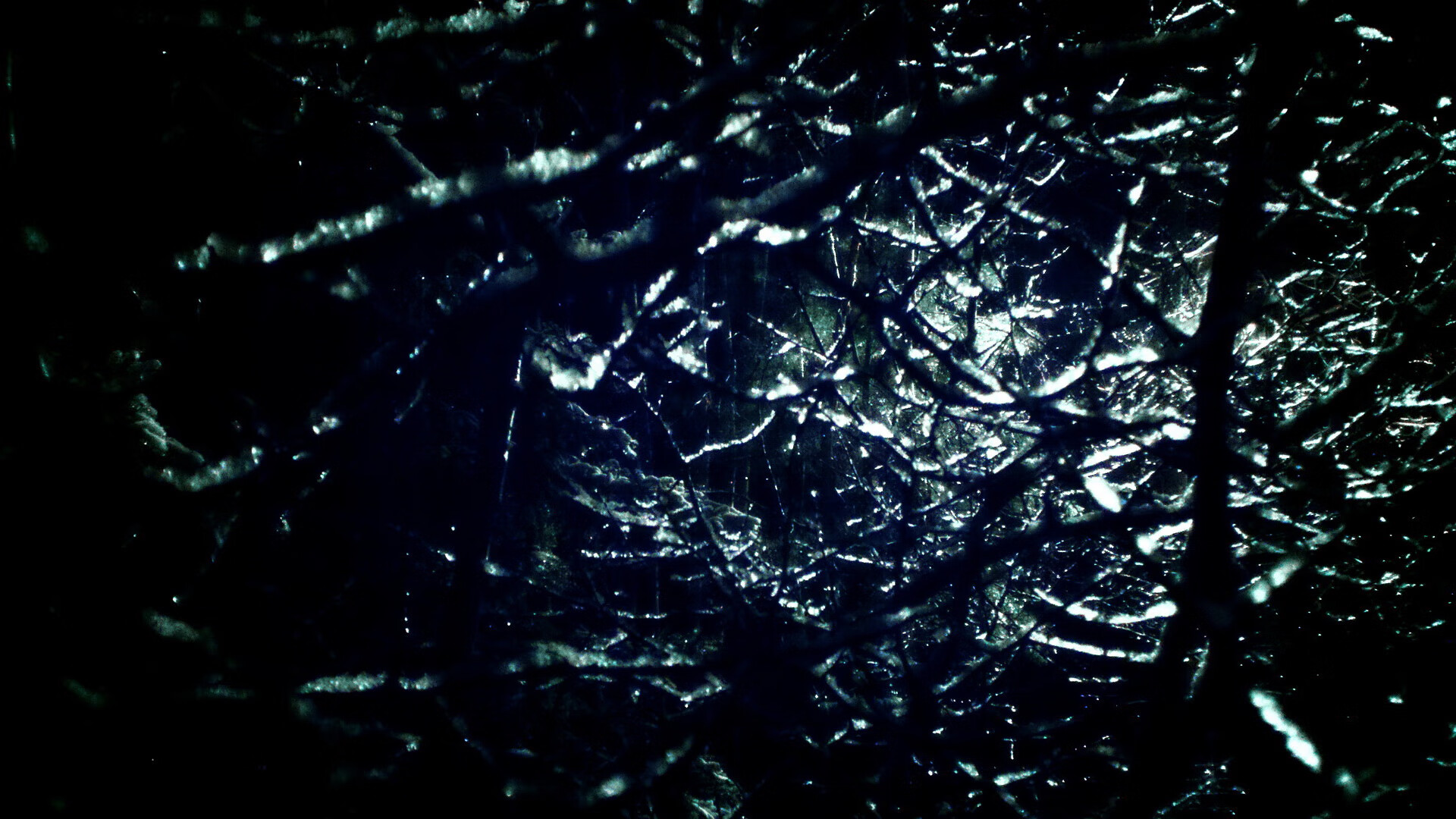 九游网址-深度解析排球联赛裁判误判影响，排球挑战裁判失败的后果