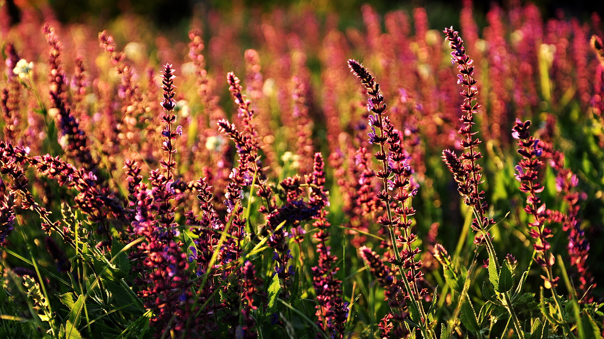 J9九游会-足球比赛现场掌声不断，气氛热烈，足球比赛现场掌声不断,气氛热烈怎么形容