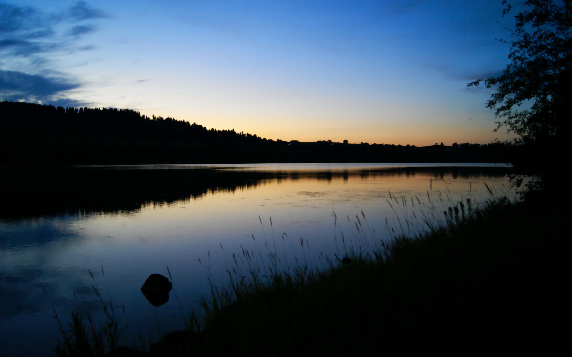 九游体育网页入口-雄鹿重拾状态字母哥砍三十五，nba雄鹿字母哥伤