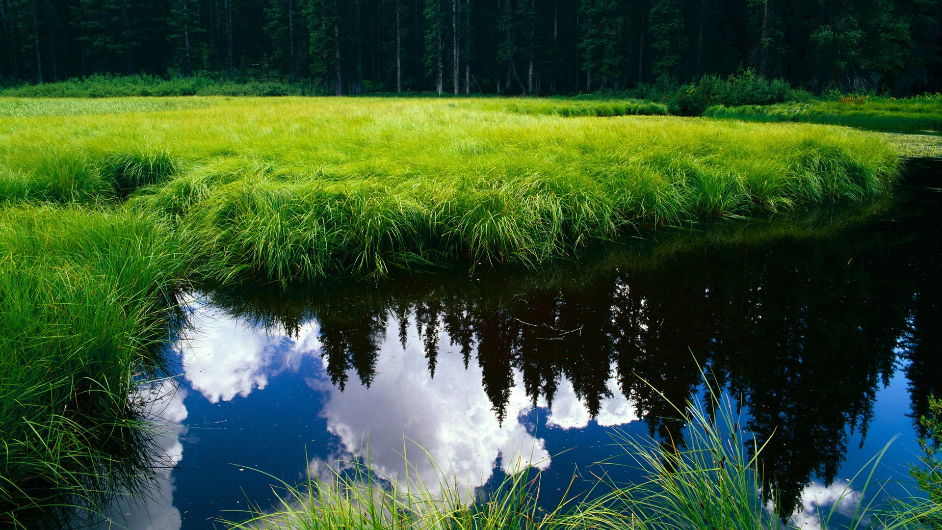九游注册-罗马快速推进提升破门效率，罗马技巧