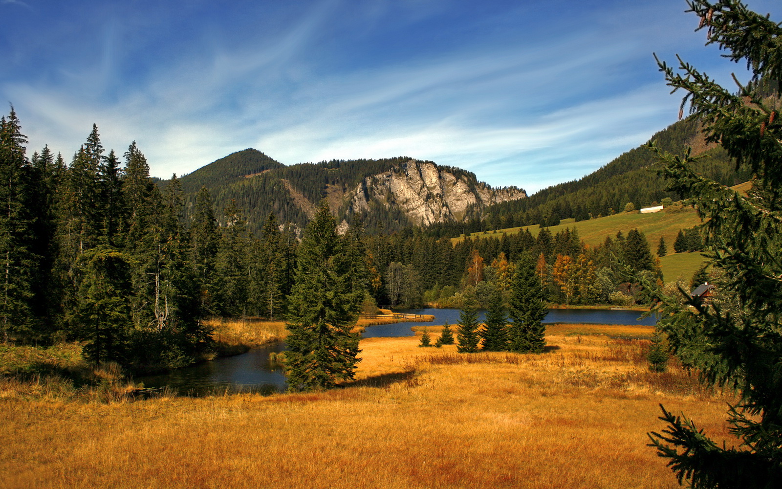 国家队制定伤病预防指导方案结合体测数据精准干预,我国伤害诊断标准