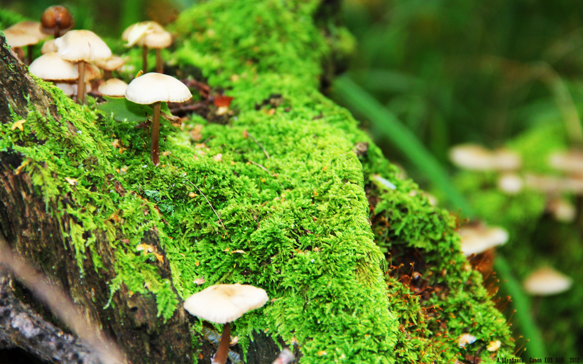 九游APP-国家队新一期集训计划加入战术视频学习环节，国家队集训是什么意思