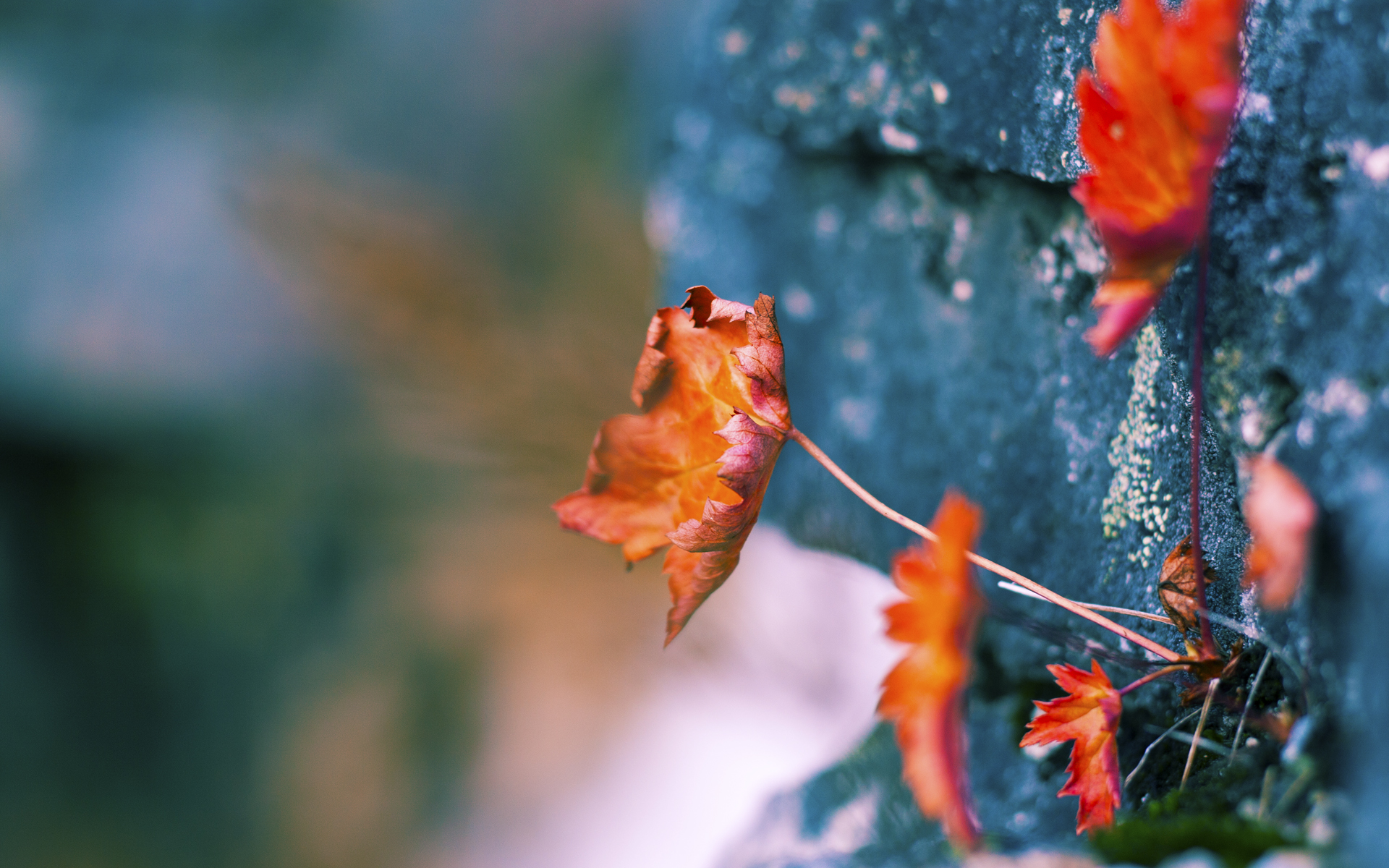 -德甲战场：速度与力量的极致碰撞，德甲跑动距离排名
