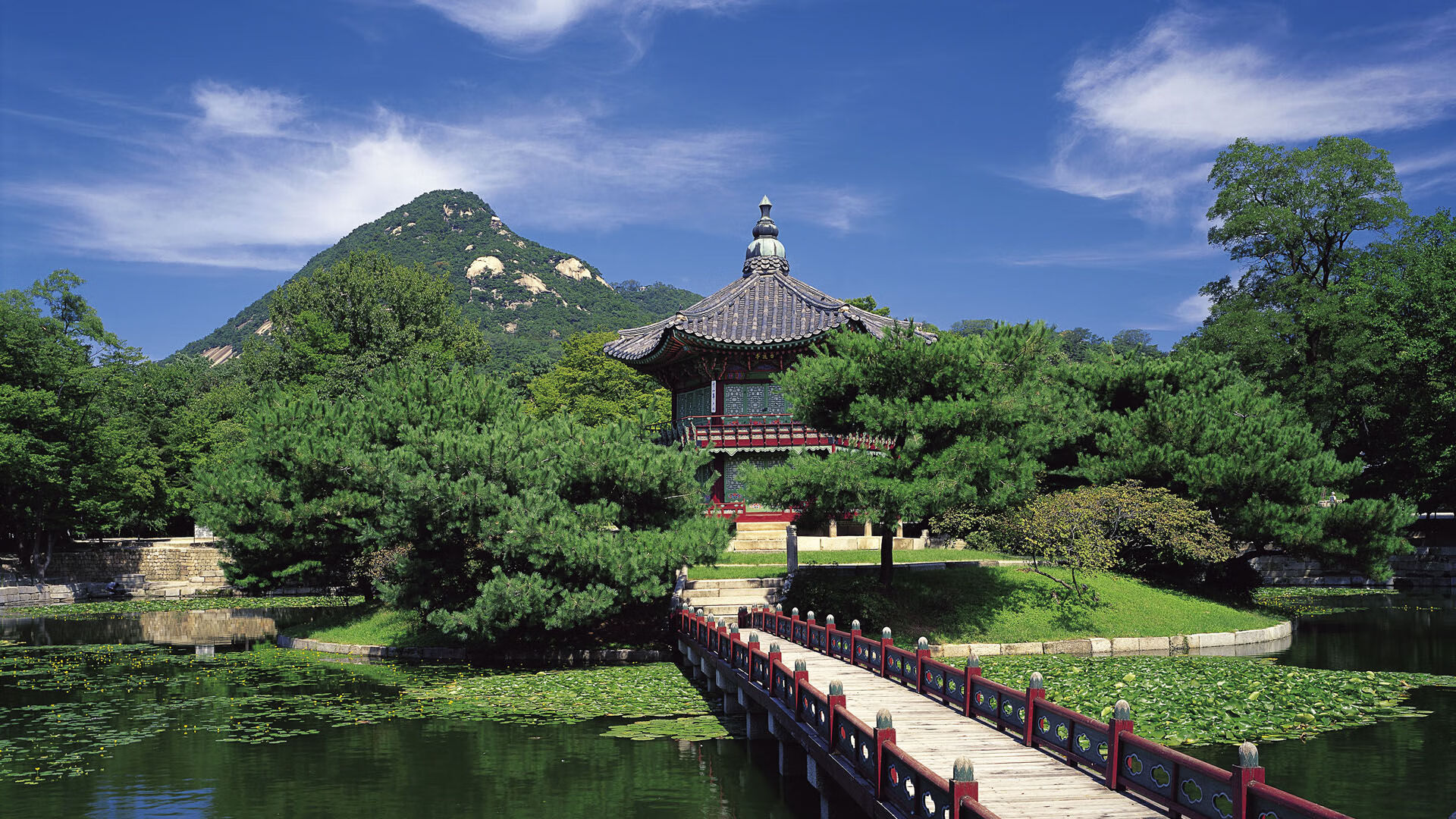 社交平台粉丝突破新高成为当前最受关注的球队之一，热门社交平台