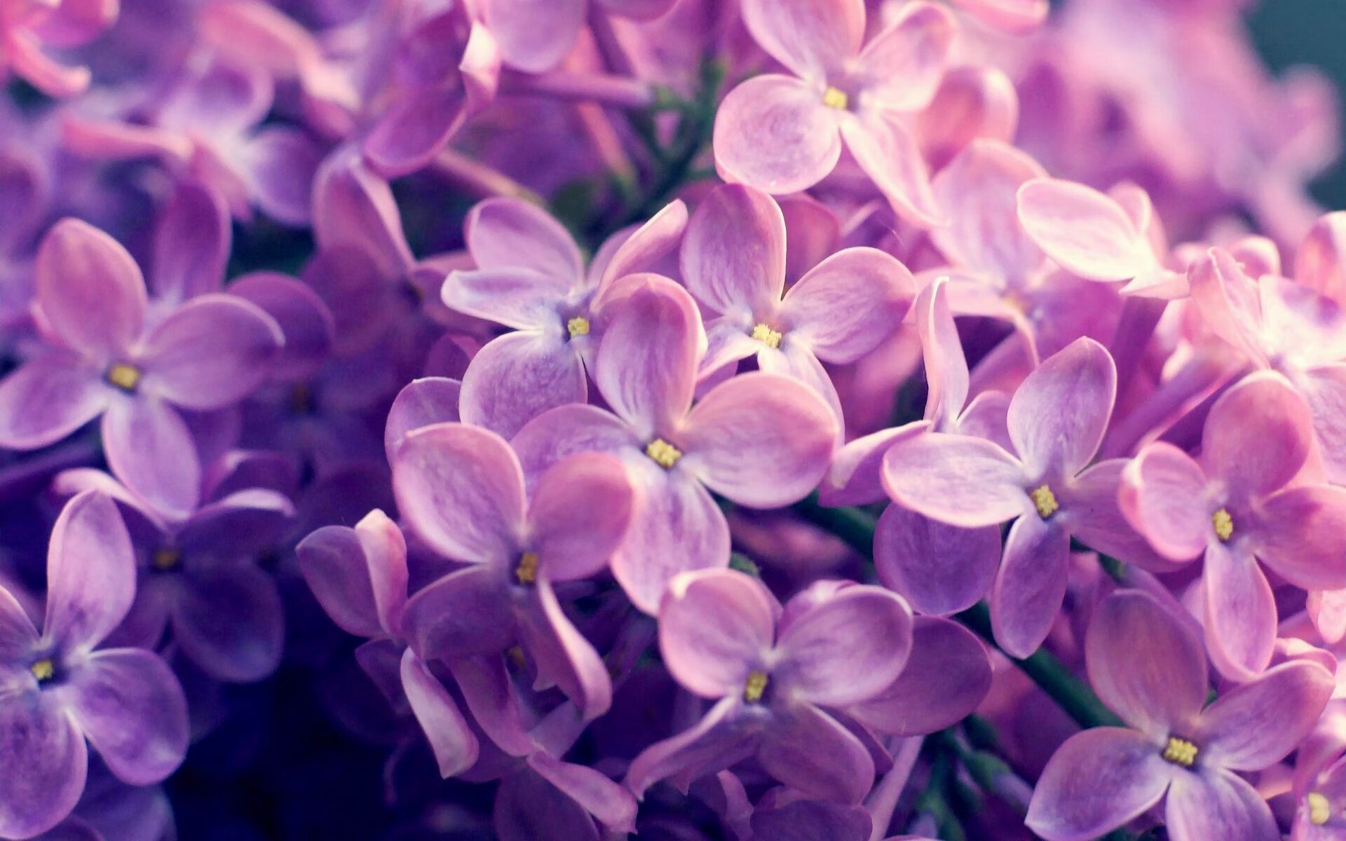 九游体育官网-英超争冠大战：场场激烈，高潮不断，英超竞争激烈